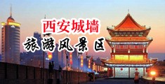 操骚逼鲁甲影院中国陕西-西安城墙旅游风景区