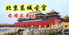 搞基黑丝高跟鞋在线观看中国北京-东城古宫旅游风景区